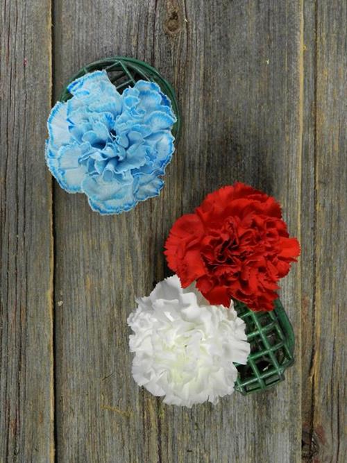 PATRIOTIC CARNATION ASSORTED COMBO BOX